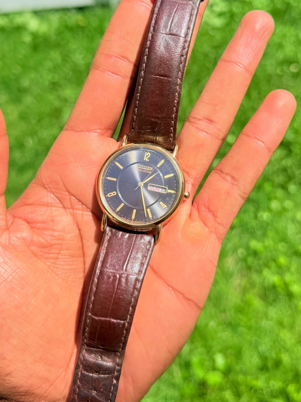 Citizen Gold-Tone Case Brown Dial Brown Leather Strap Watch